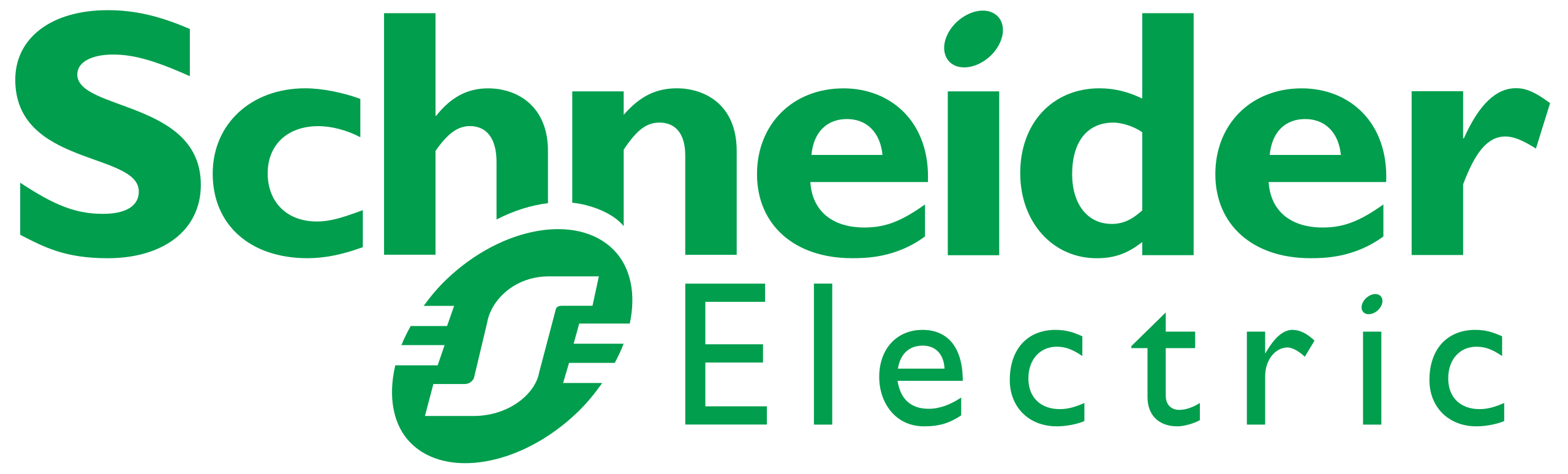 SCHNEIDER logo